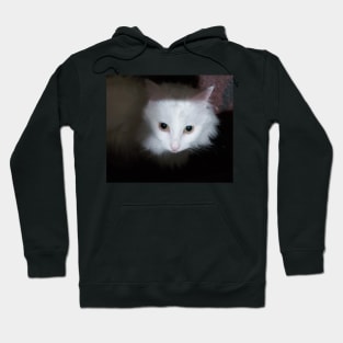 White cat Hoodie